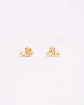 Broquel Flor 14K