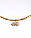 Collar golden eye