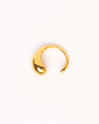 Anillo Duna