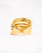 Anillo Agarre