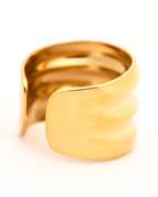 Anillo Equilibrio