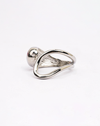 Anillo Juntos