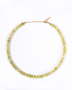 Collar lime glow