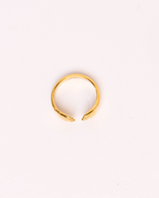 Anillo Abrazo
