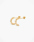 Broquel Celeste 10K