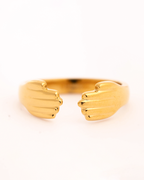 Anillo Abrazo