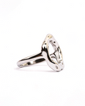 Anillo Eterno