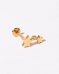 Broquel estrellas y brillo