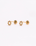 Broquel Círculo 14K