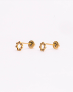 Broquel Círculo 14K